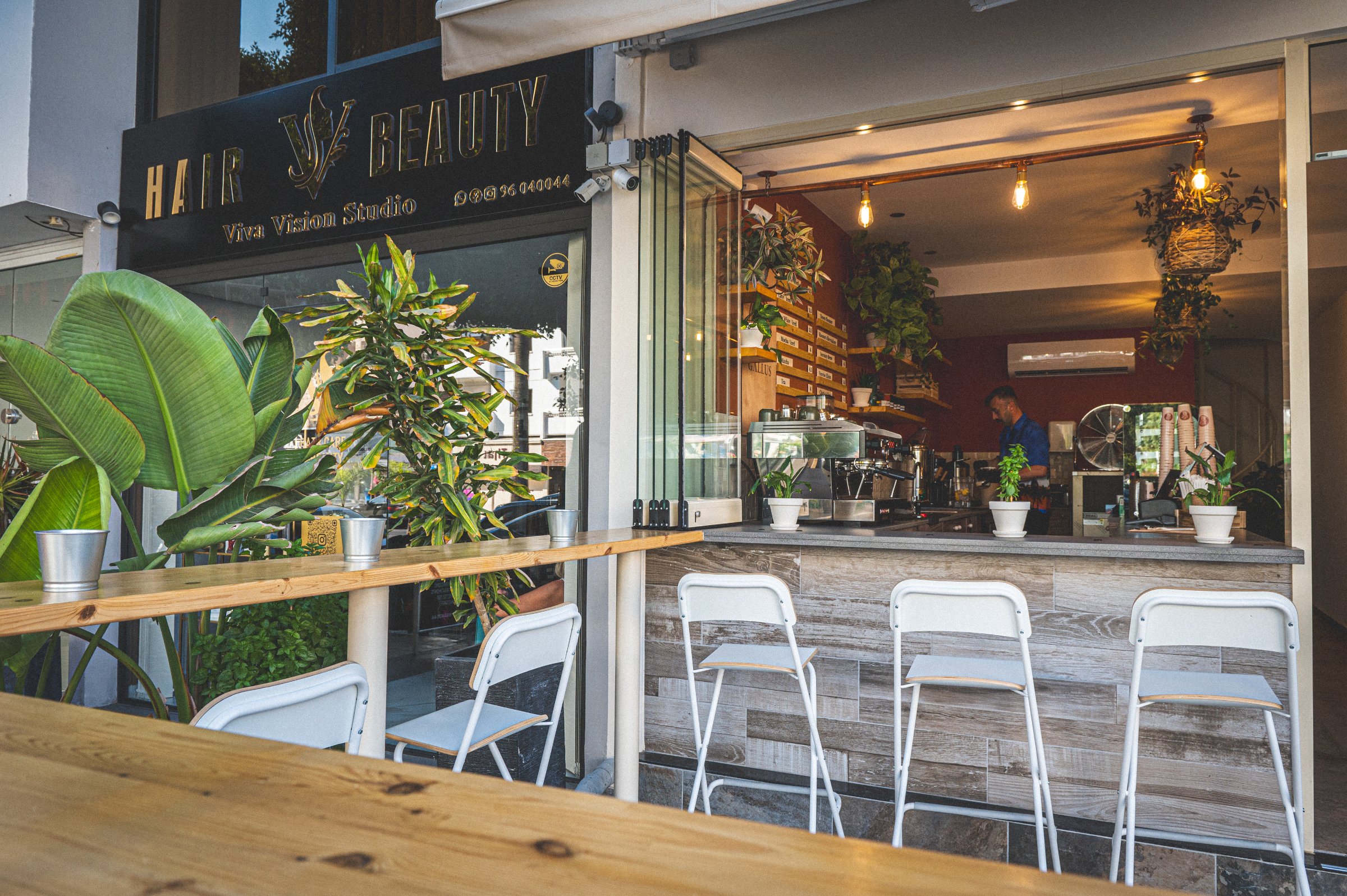 Gallus Coffee Brew