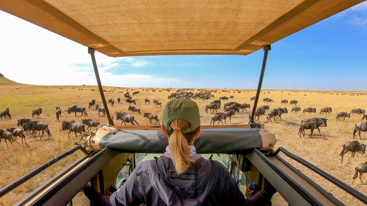 Standard Safaris Ltd