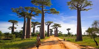 bandro reisen - tour operator