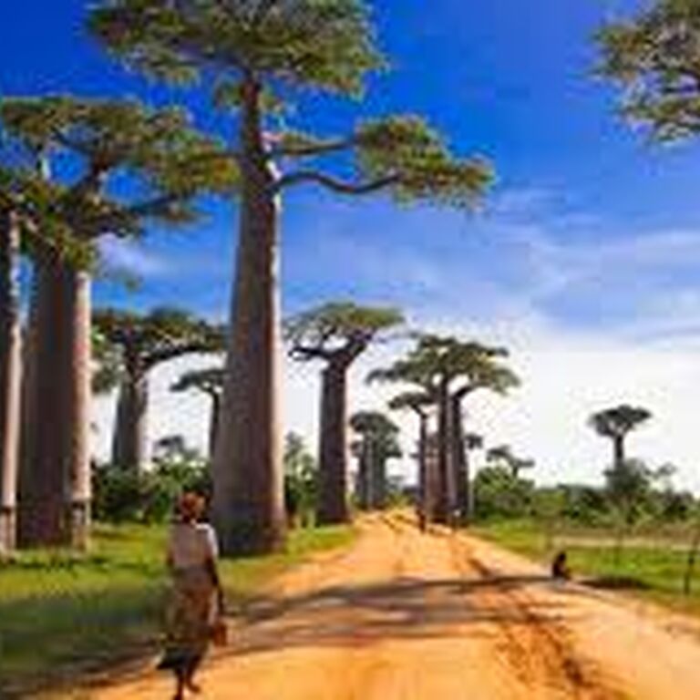 bandro reisen - tour operator
