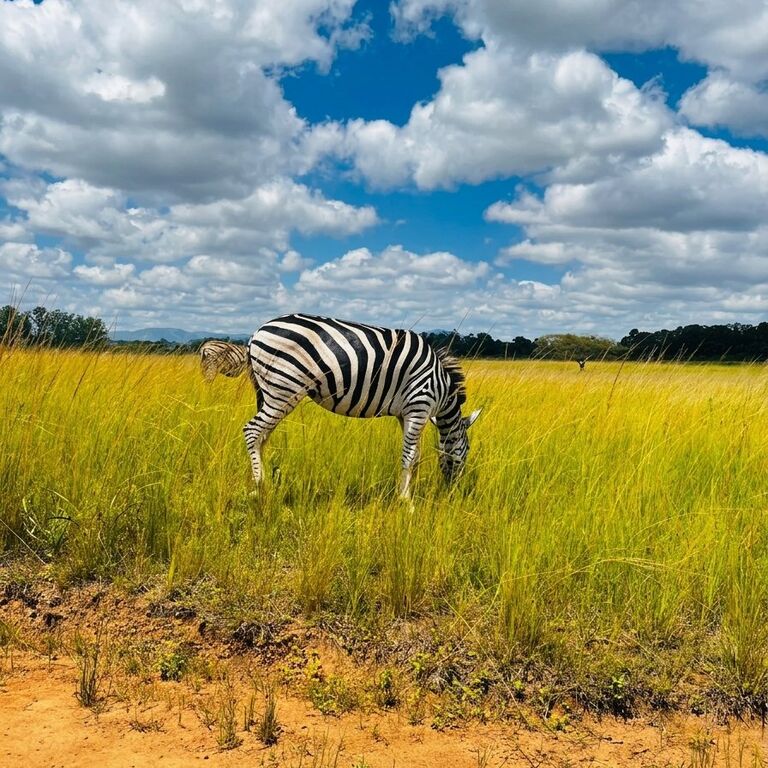 Backpacker Tours
