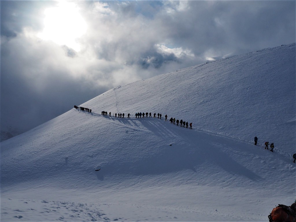 NATURE LOVERS TREKS & TOURS