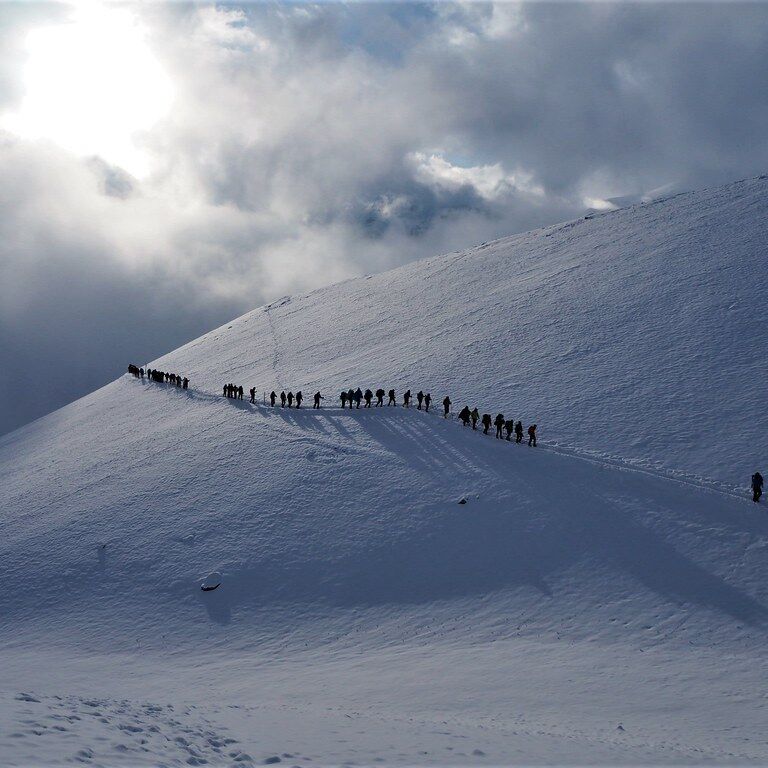 NATURE LOVERS TREKS & TOURS
