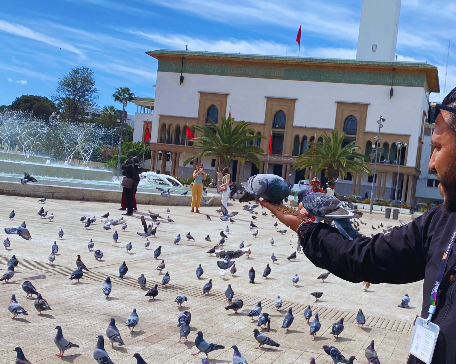 One Day Casablanca Tour