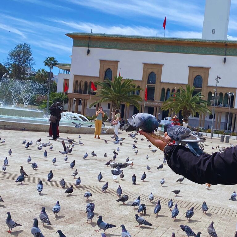 One Day Casablanca Tour