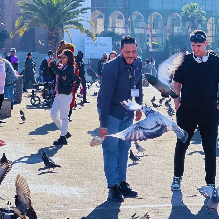 One Day Casablanca Tour