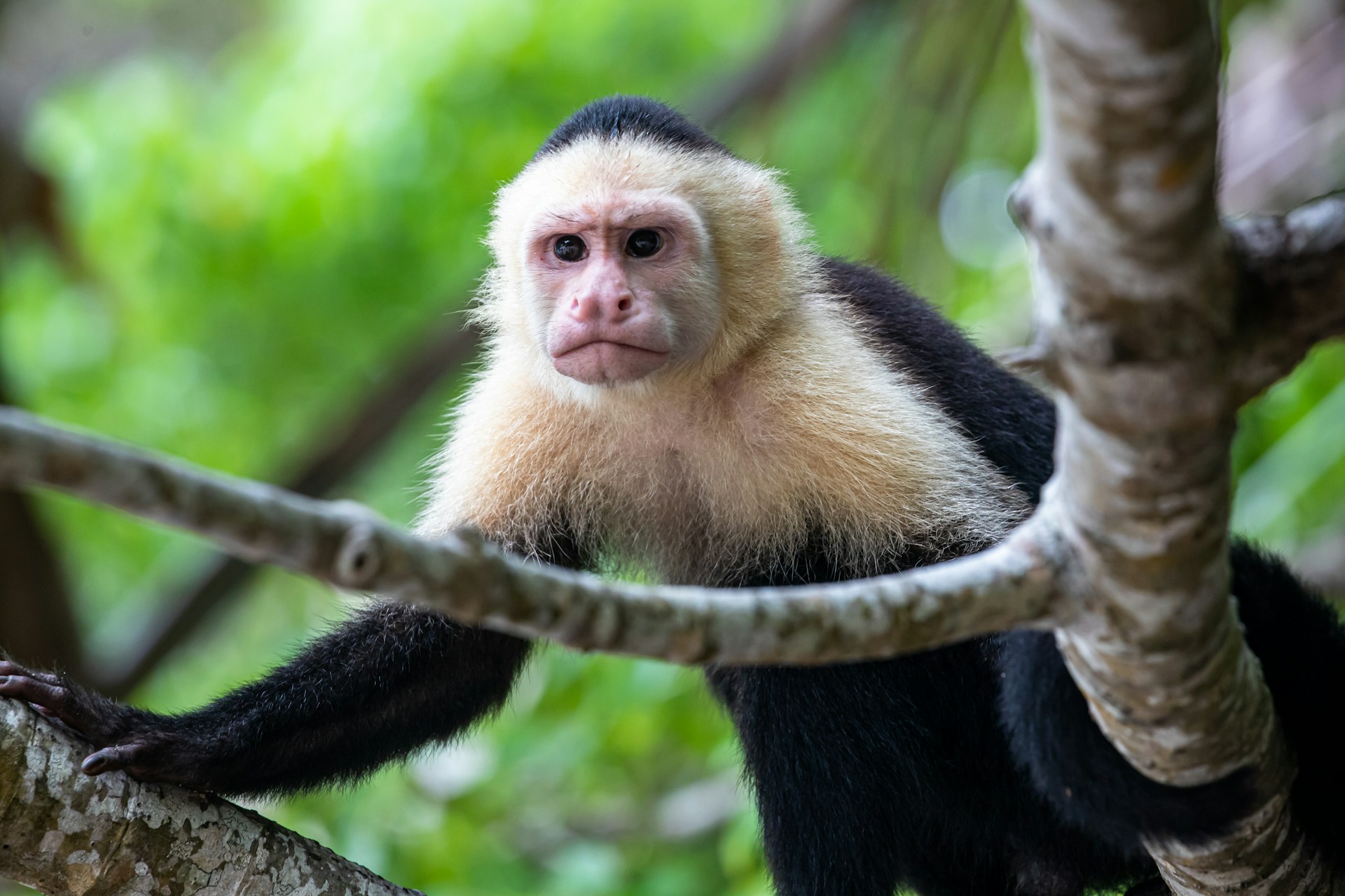 Wonders Costa Rica Tours
