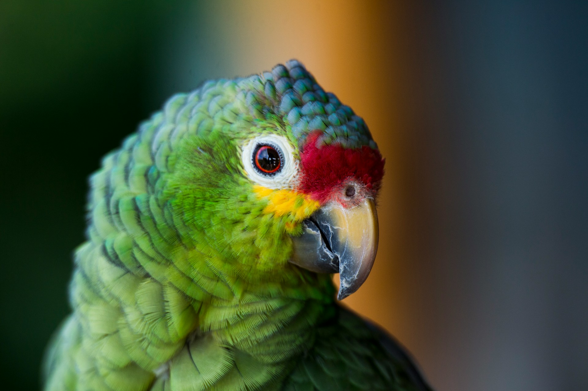 Wonders Costa Rica Tours