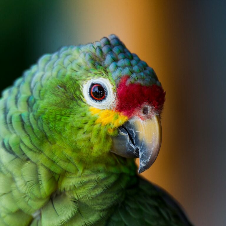 Wonders Costa Rica Tours