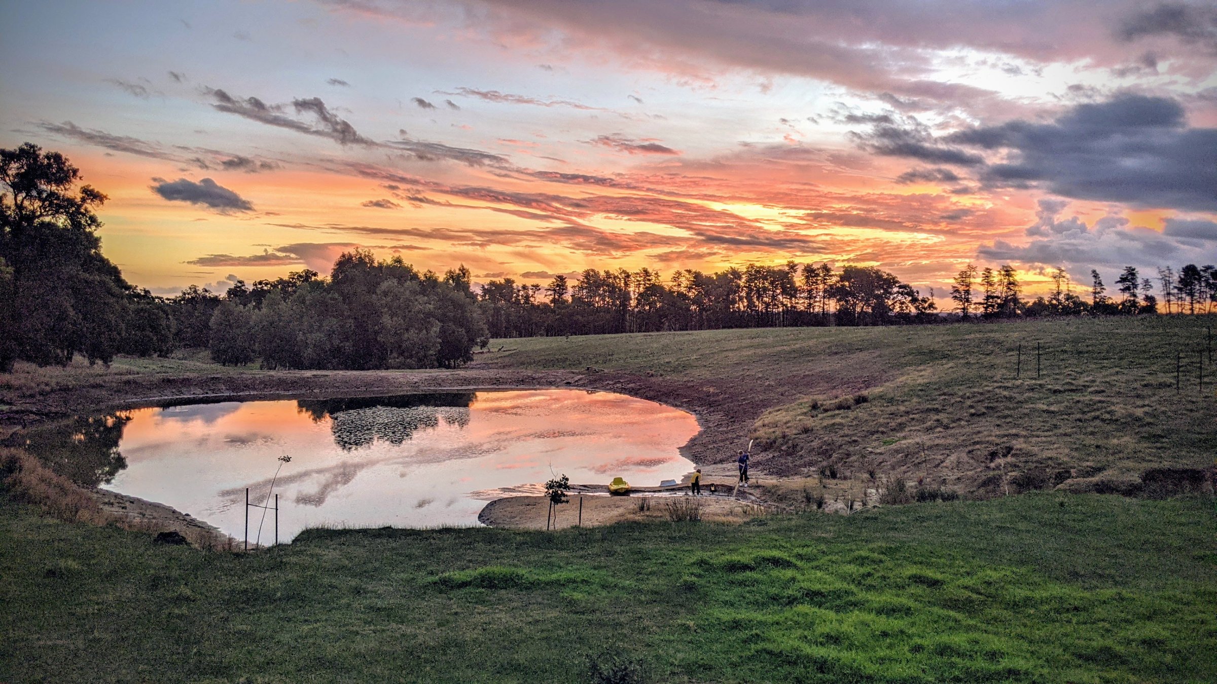 Jacaranda Hill Farm