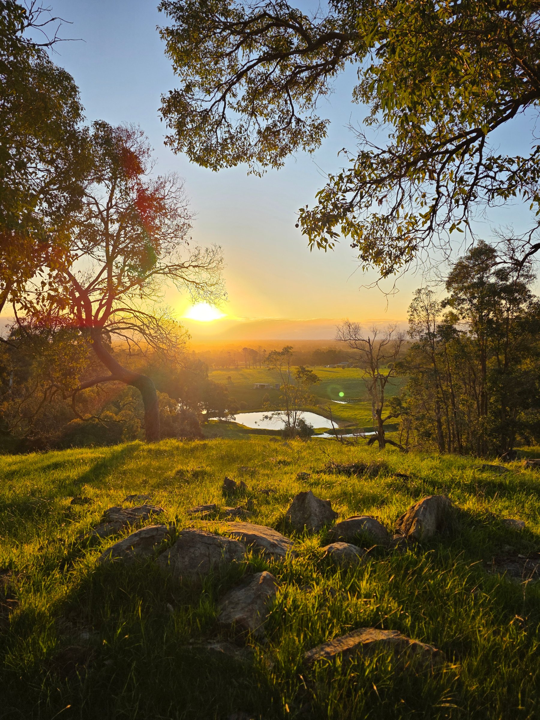 Jacaranda Hill Farm