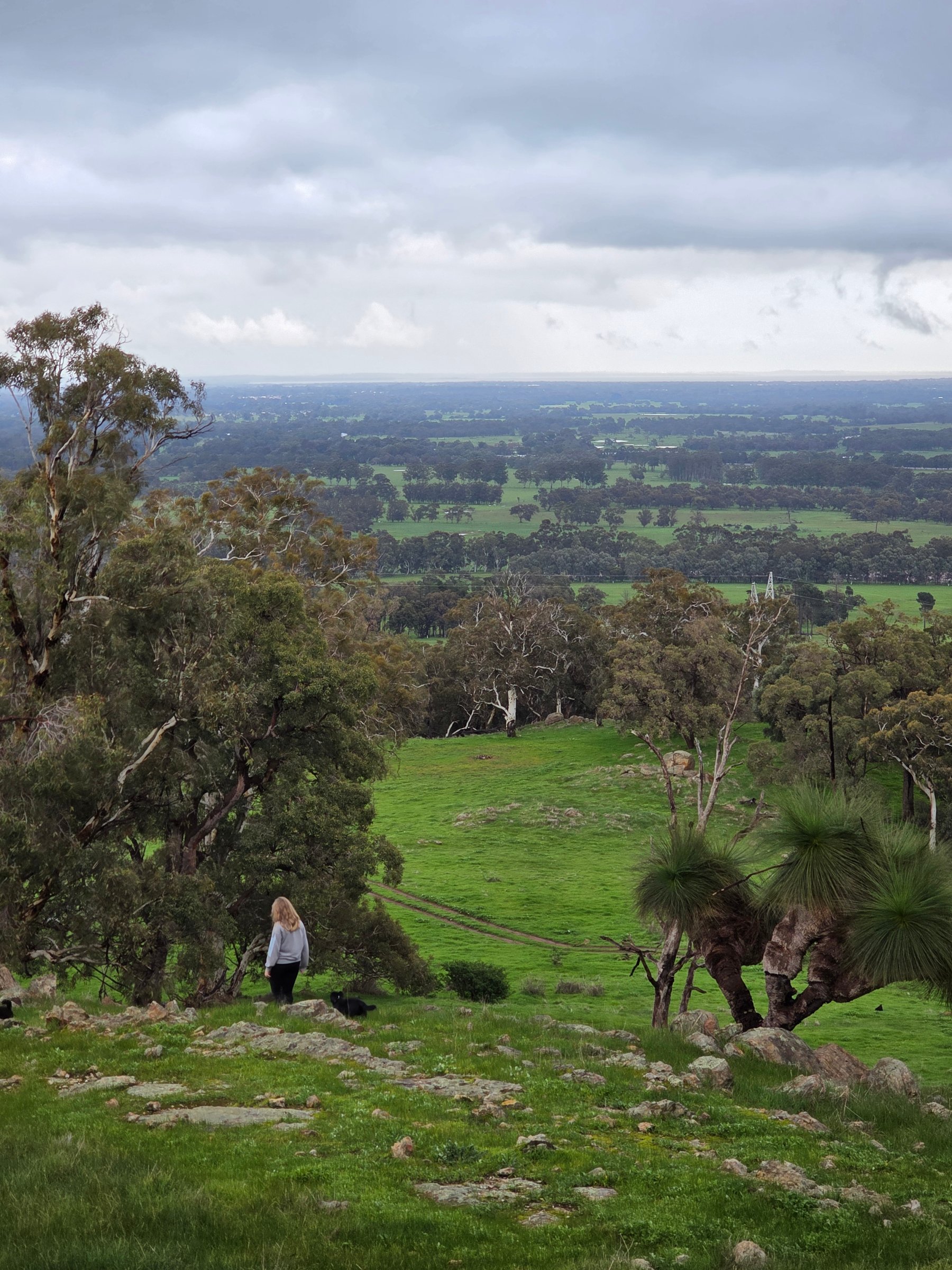 Jacaranda Hill Farm