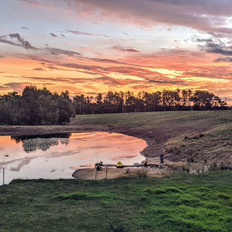 Jacaranda Hill Farm