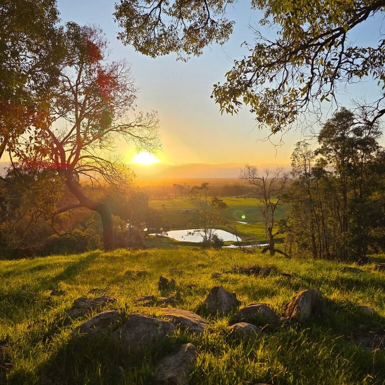Jacaranda Hill Farm