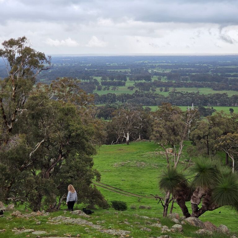 Jacaranda Hill Farm