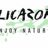 IdilicAzores
