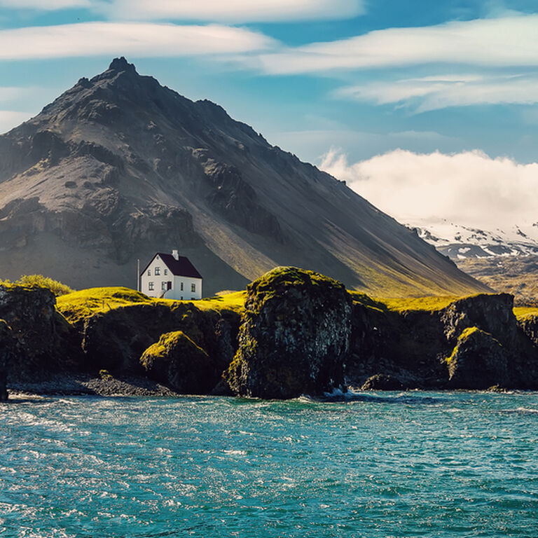 Your Friend In Reykjavik