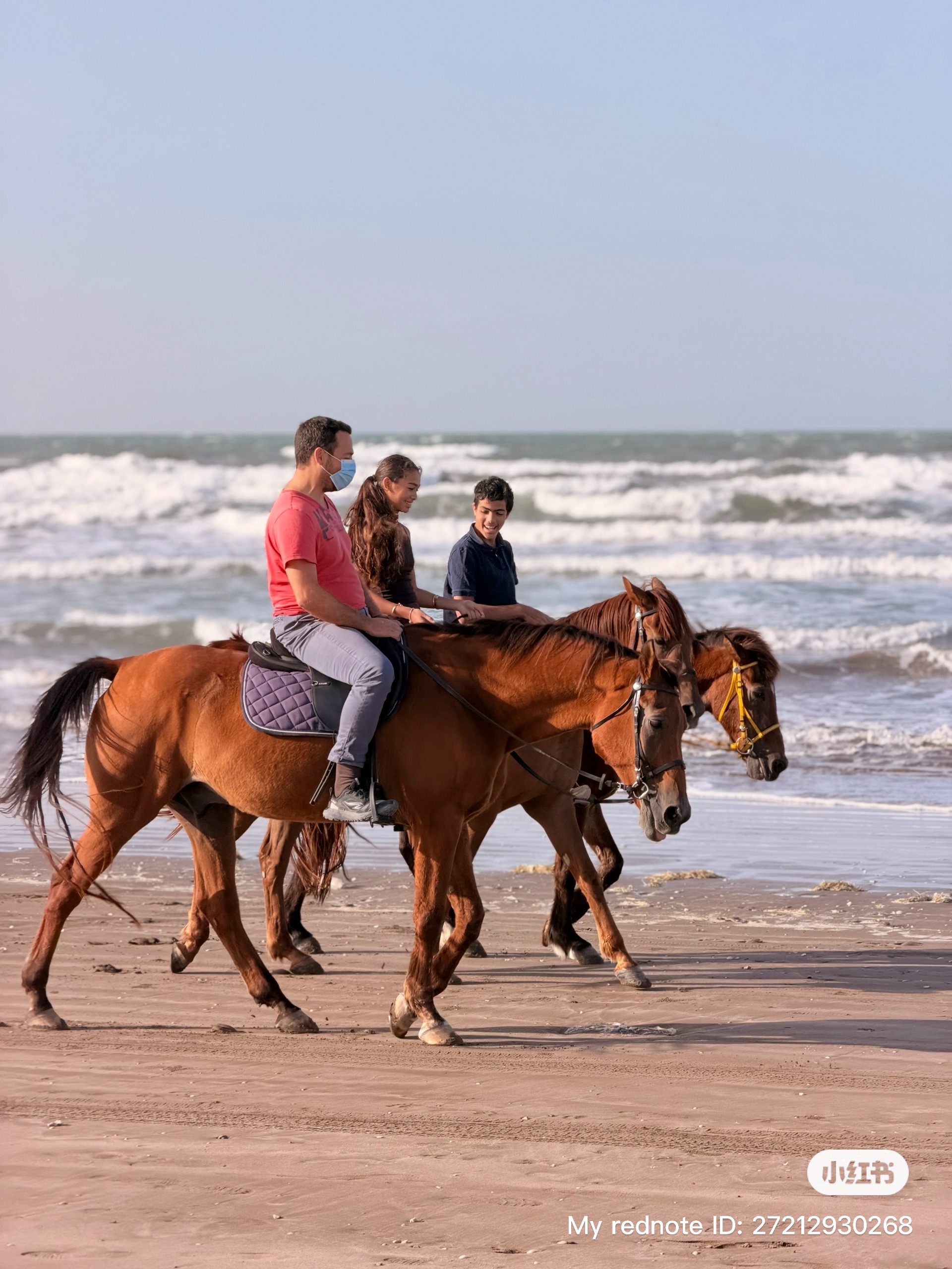 Horse Riding Muscat