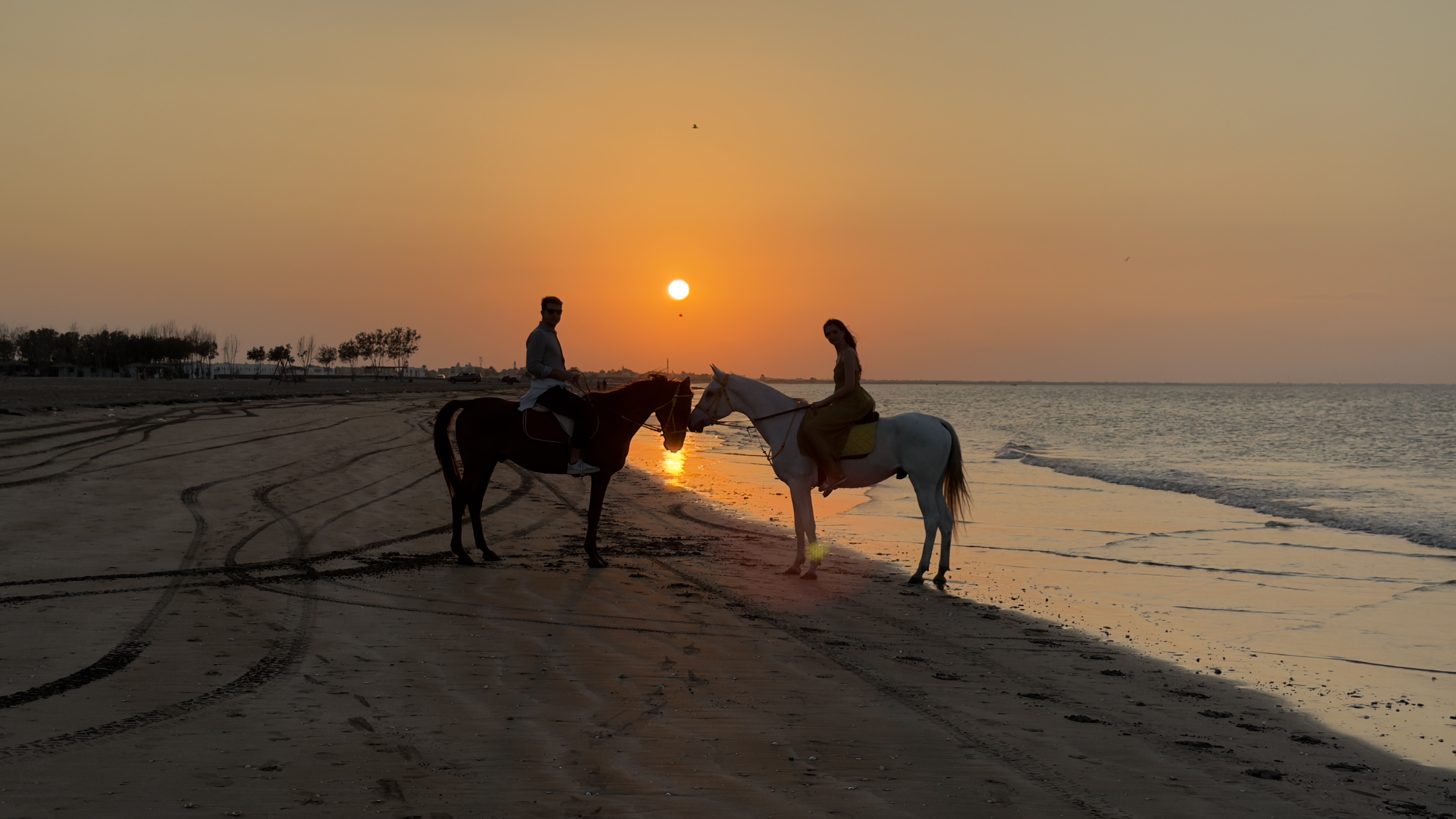 Horse Riding Muscat