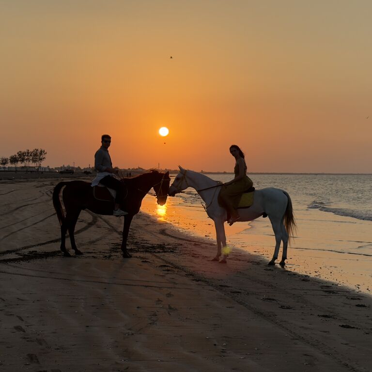 Horse Riding Muscat