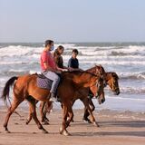Horse Riding Muscat