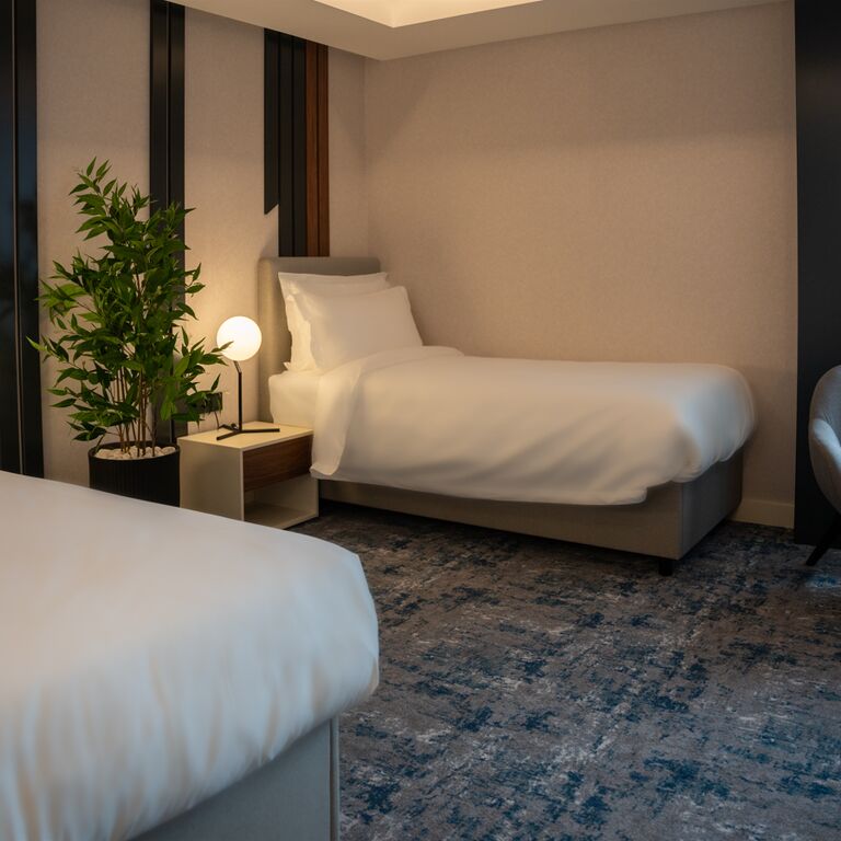 Hotel Rubin DHS