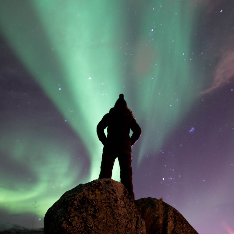 Your Tromsø Guide