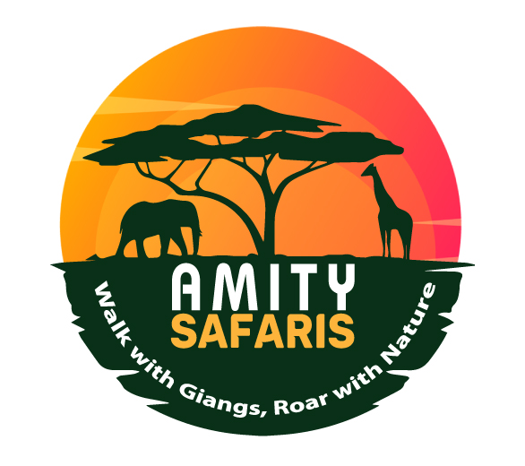 AMITY SAFARIS