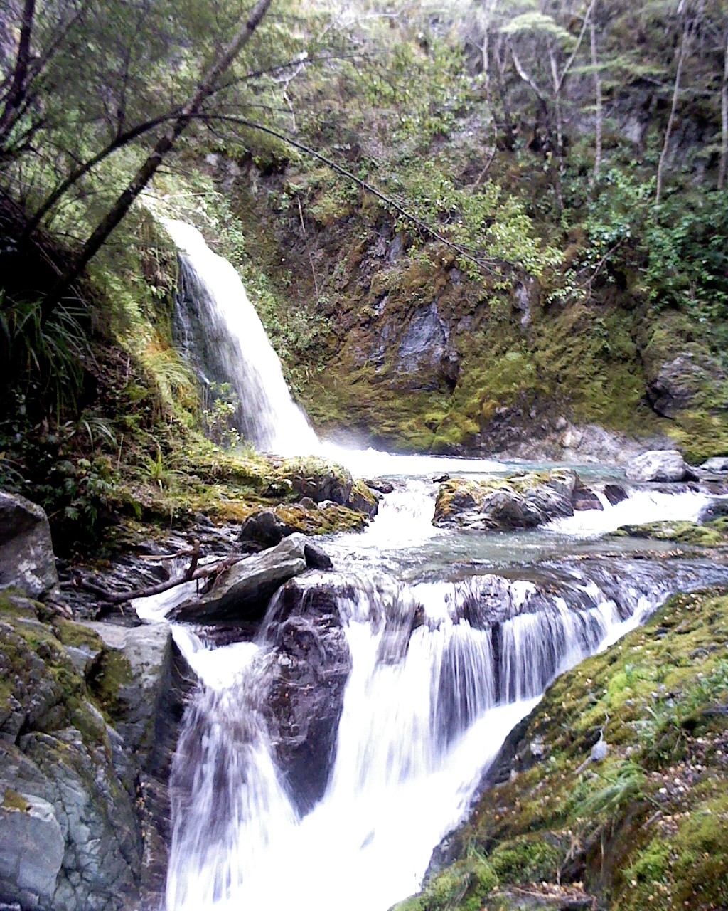 Exploring New Zealand