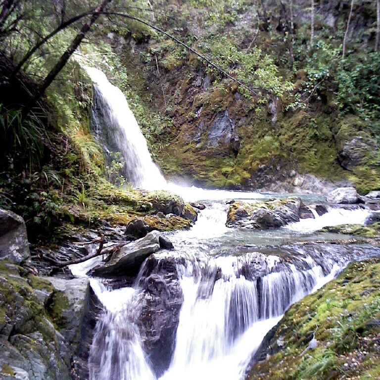 Exploring New Zealand