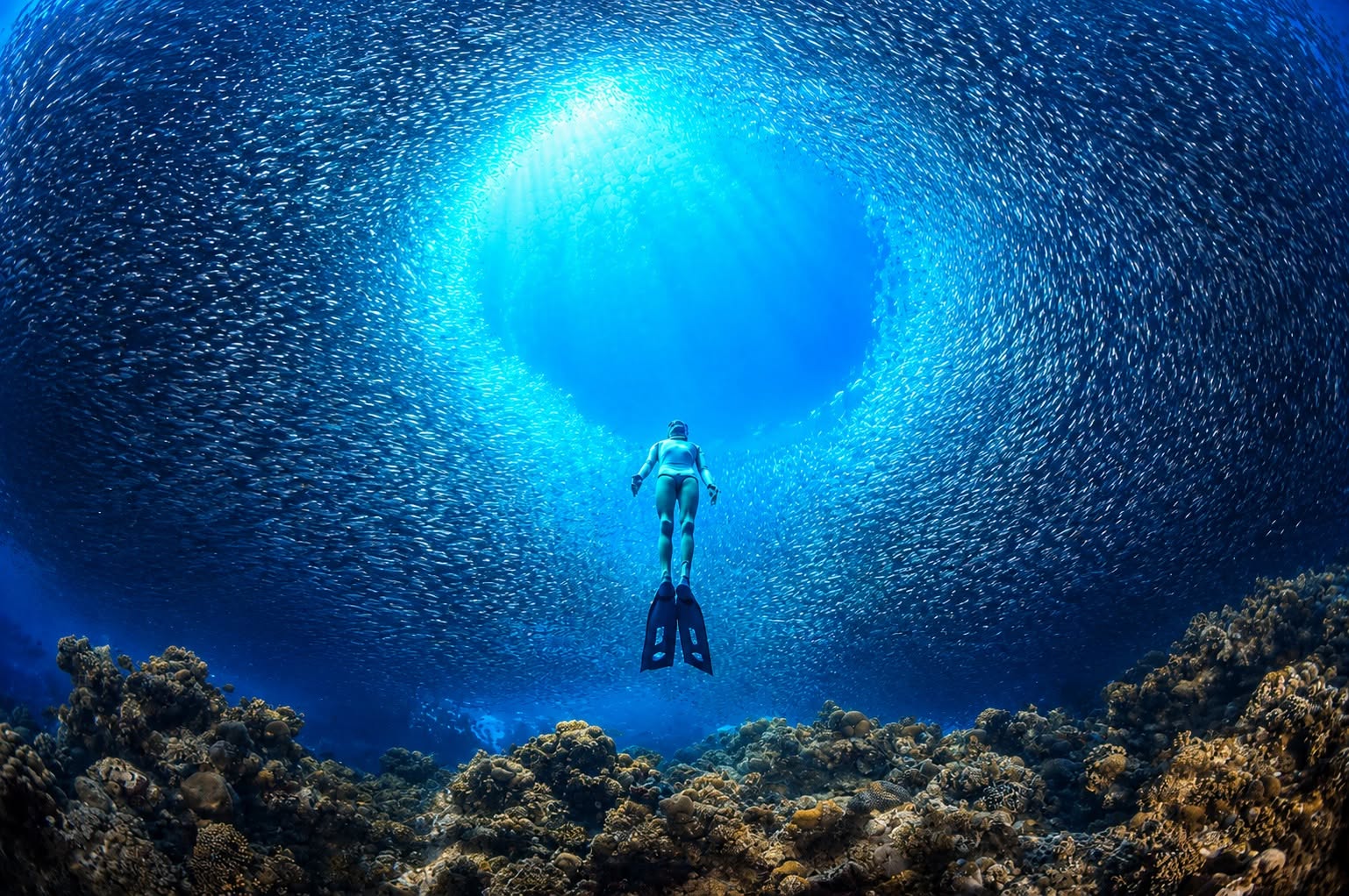 Freediving Planet Moalboal