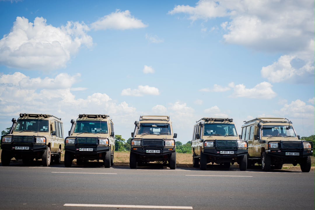 AMG SAFARIS LIMITED