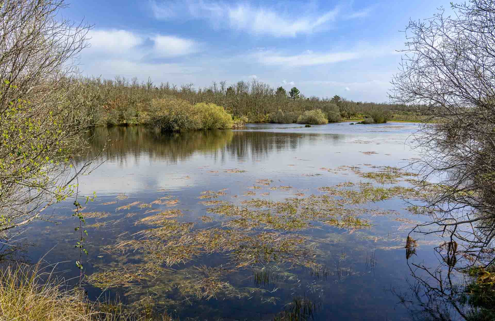 Wildlife Portugal