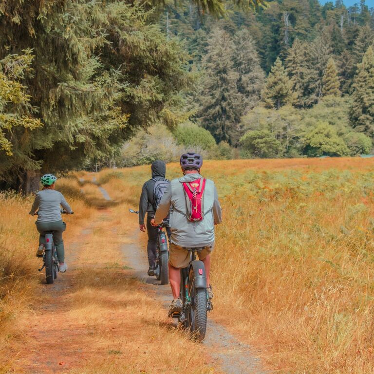 Wildtrail Tours