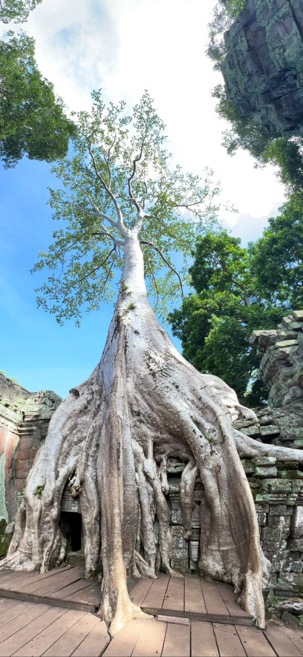 ANGKOR RIDE