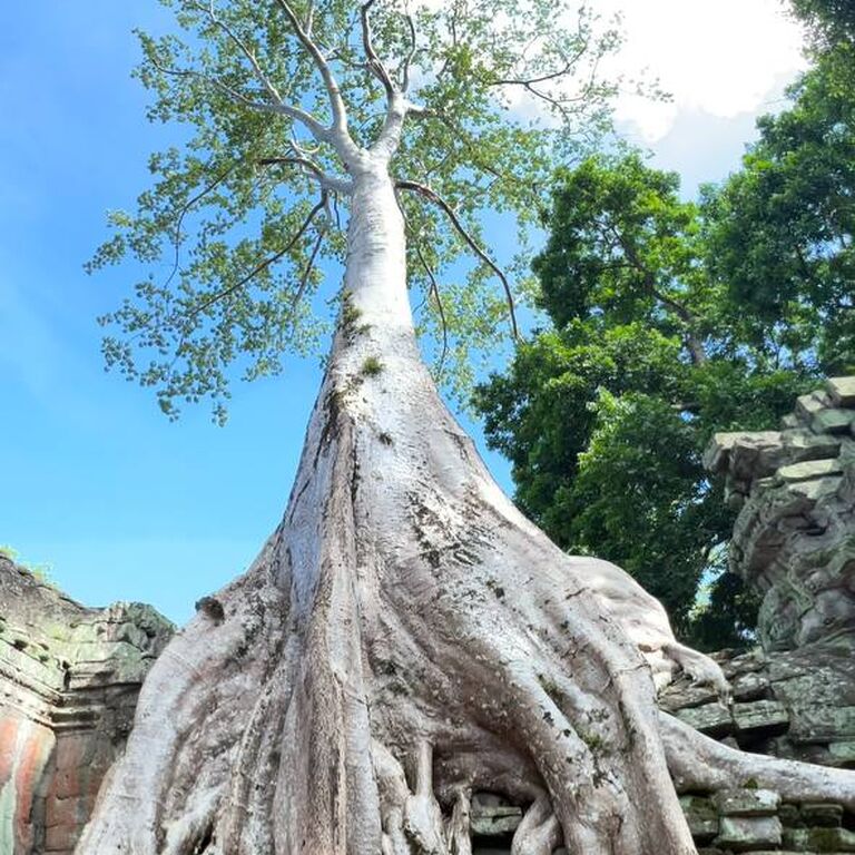 ANGKOR RIDE