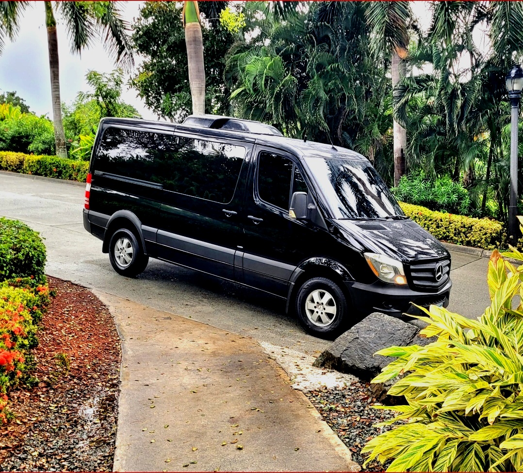 We Are Born 2 Strive Transport