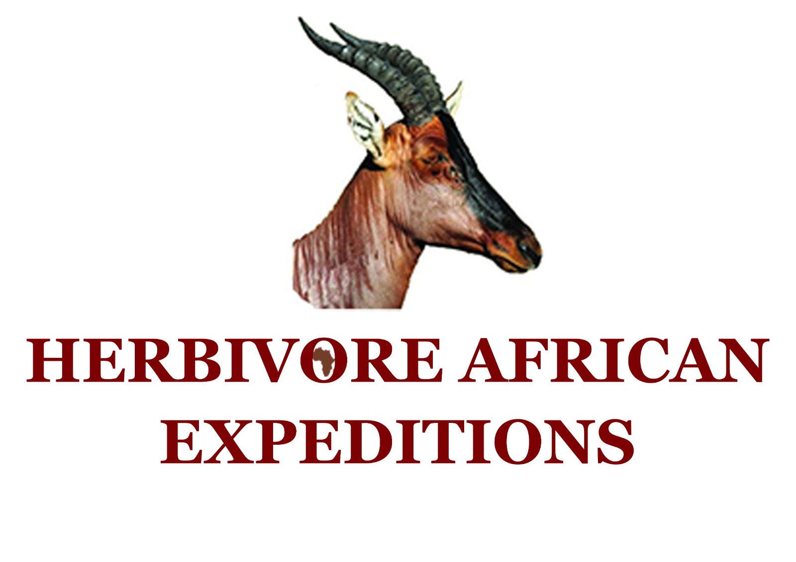 Herbivore African Expeditions