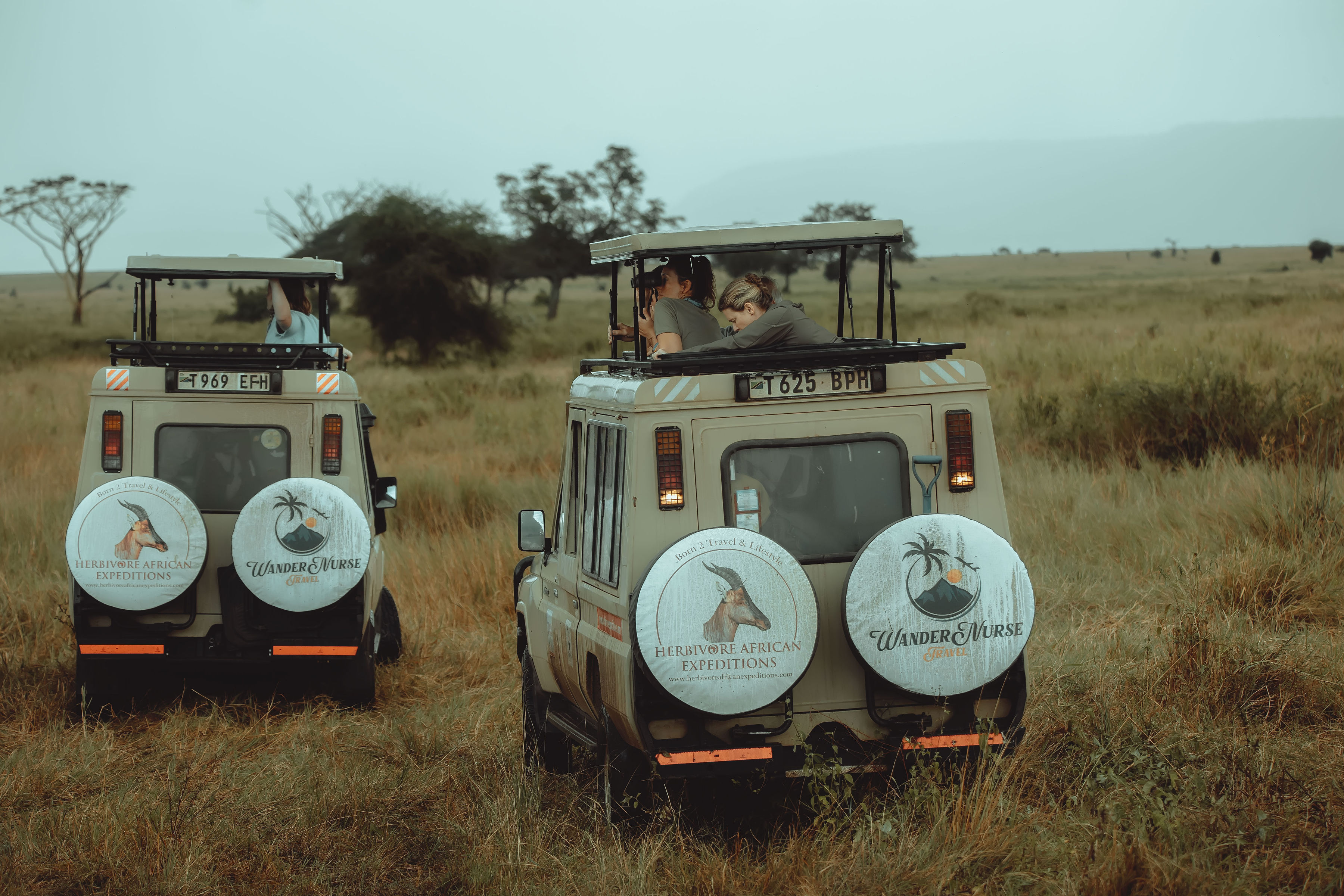 Herbivore African Expeditions