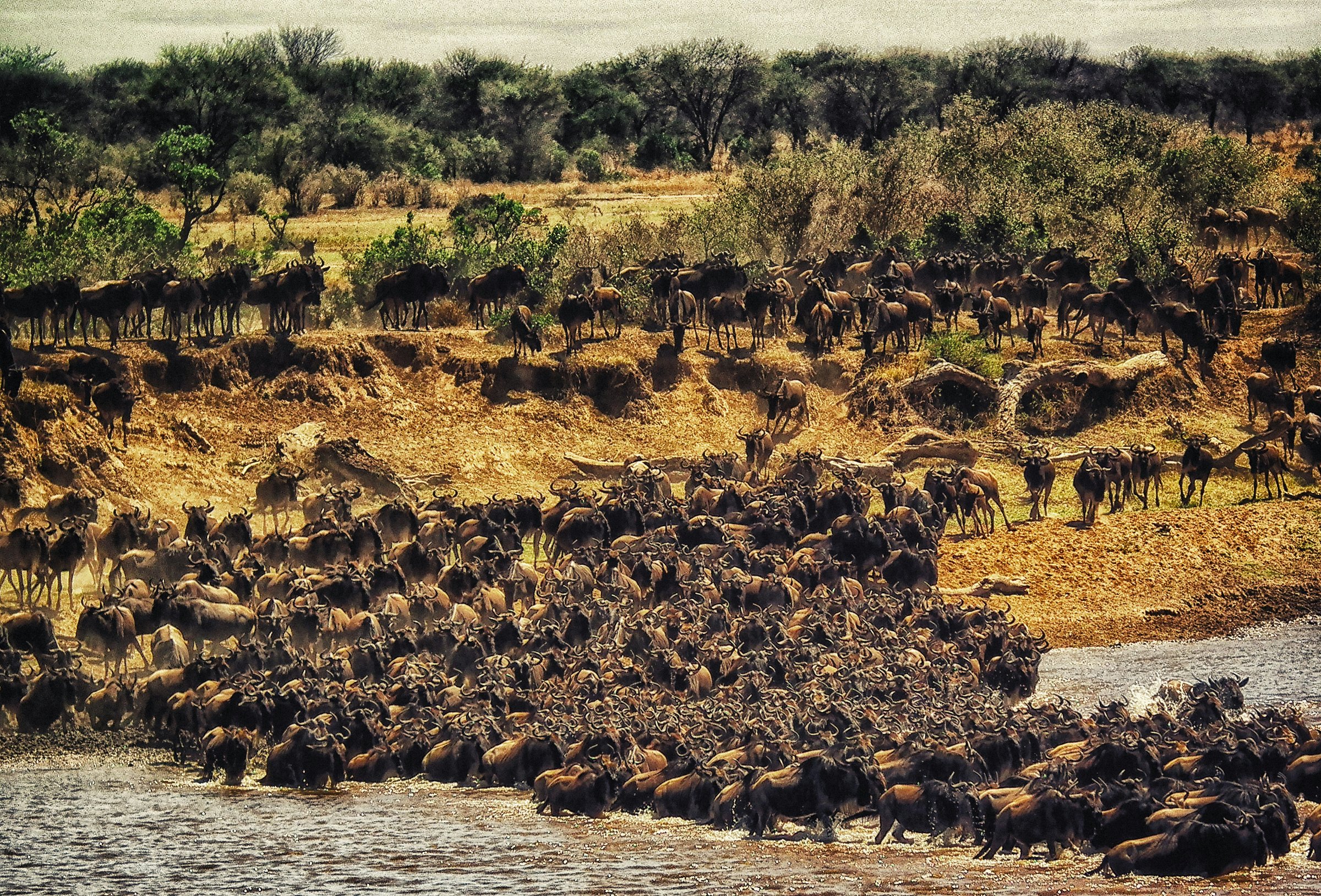 YHA Kenya Travel