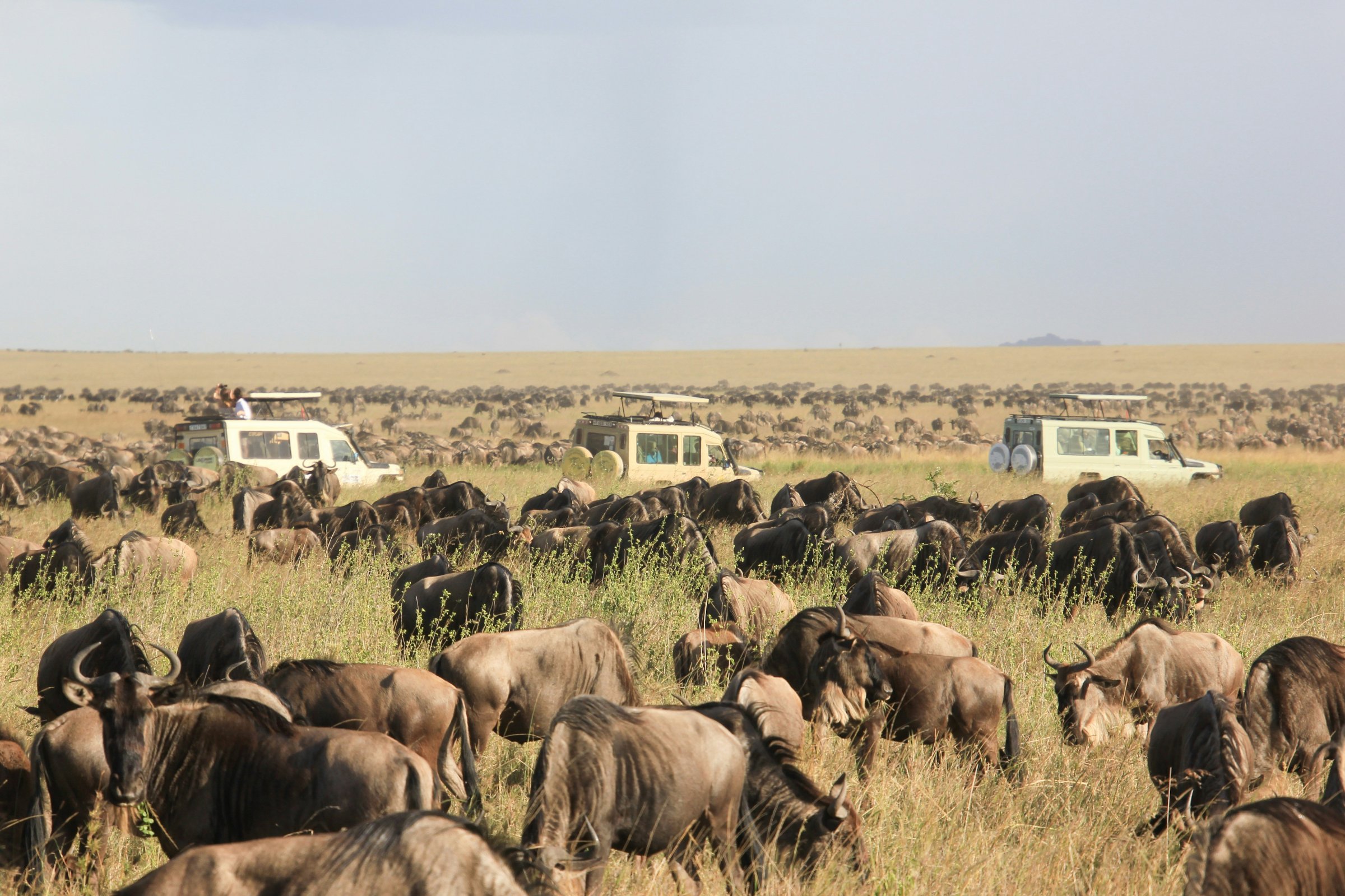 YHA Kenya Travel