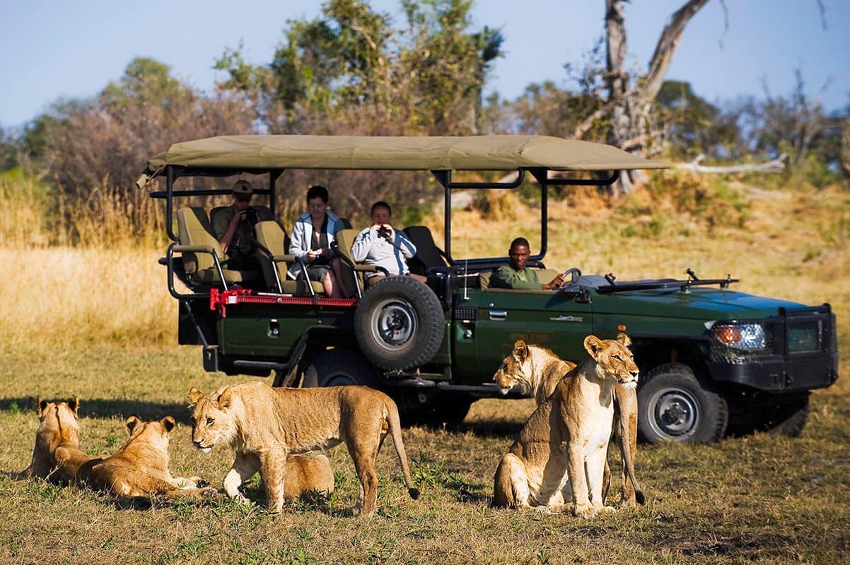 Yankee Travel and Tours