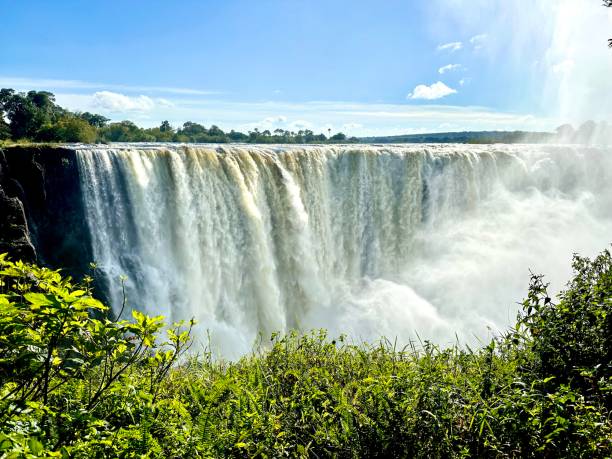 Yankee Travel and Tours