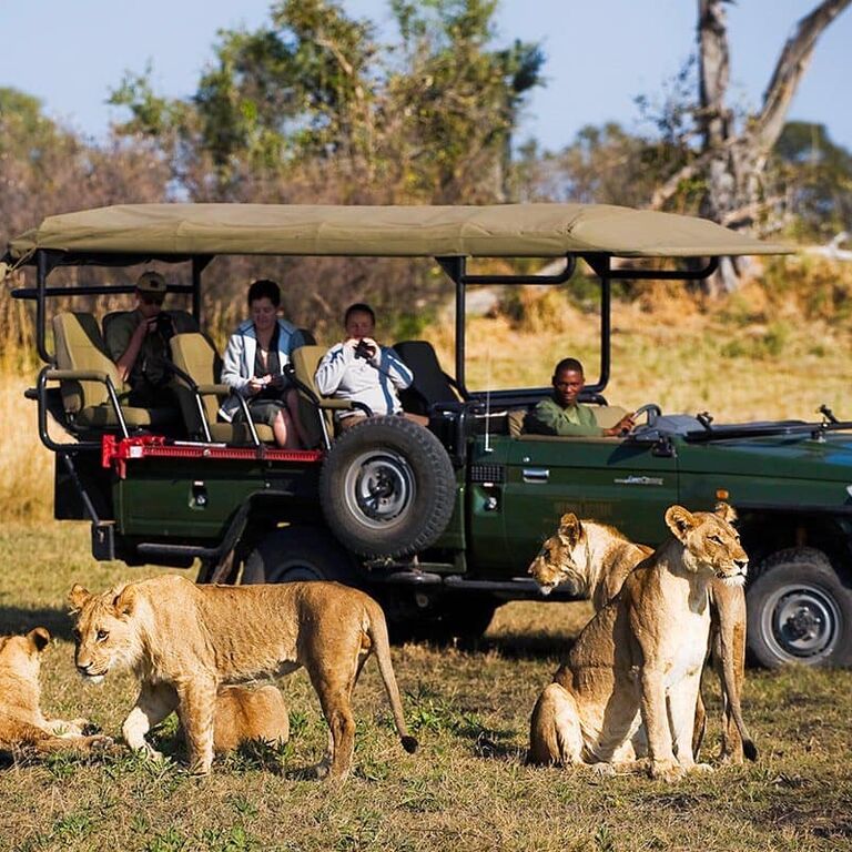 Yankee Travel and Tours