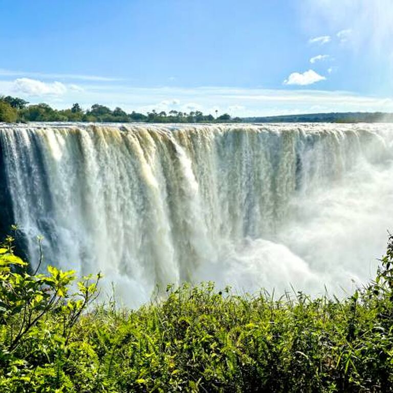 Yankee Travel and Tours