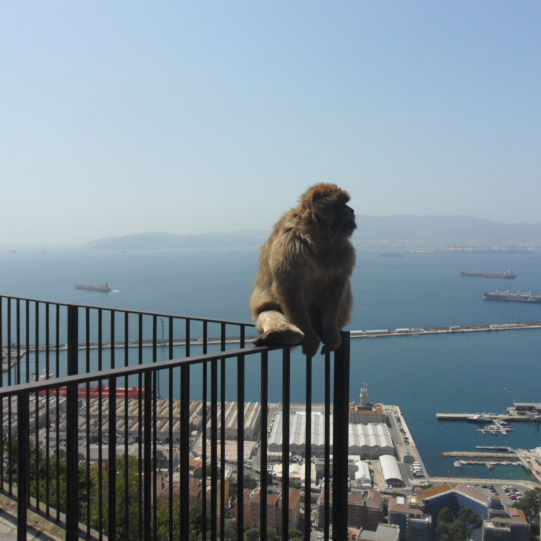 Walk Gibraltar
