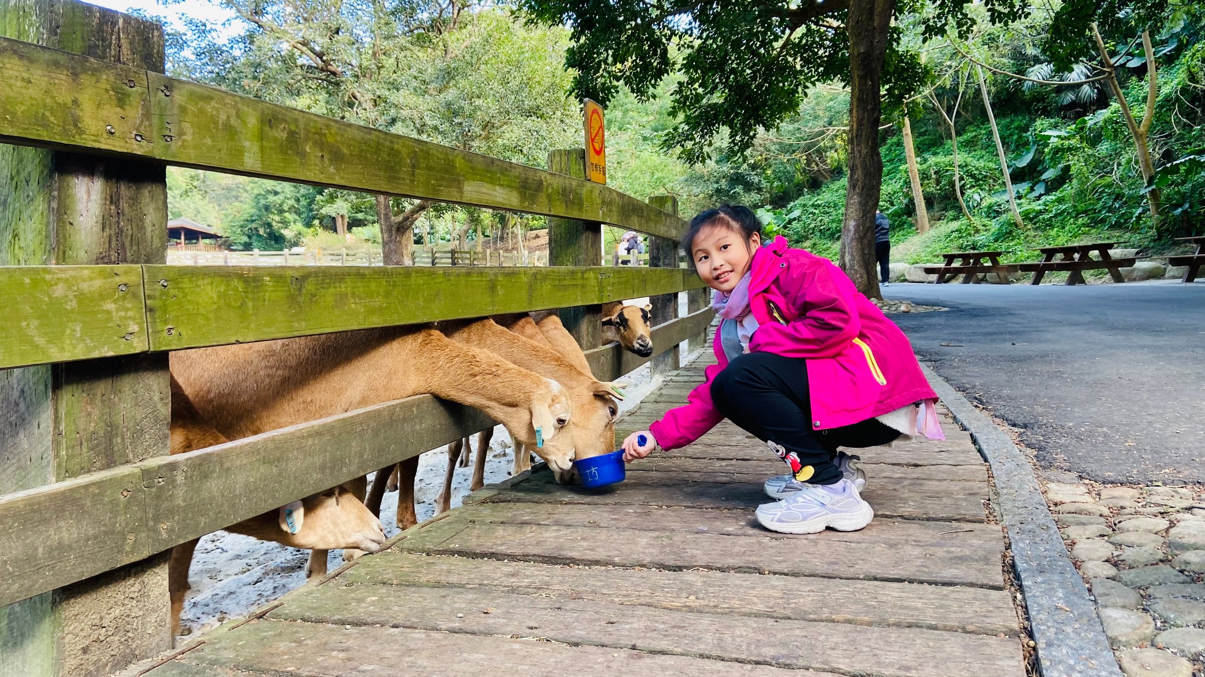 FLYING COW RANCH