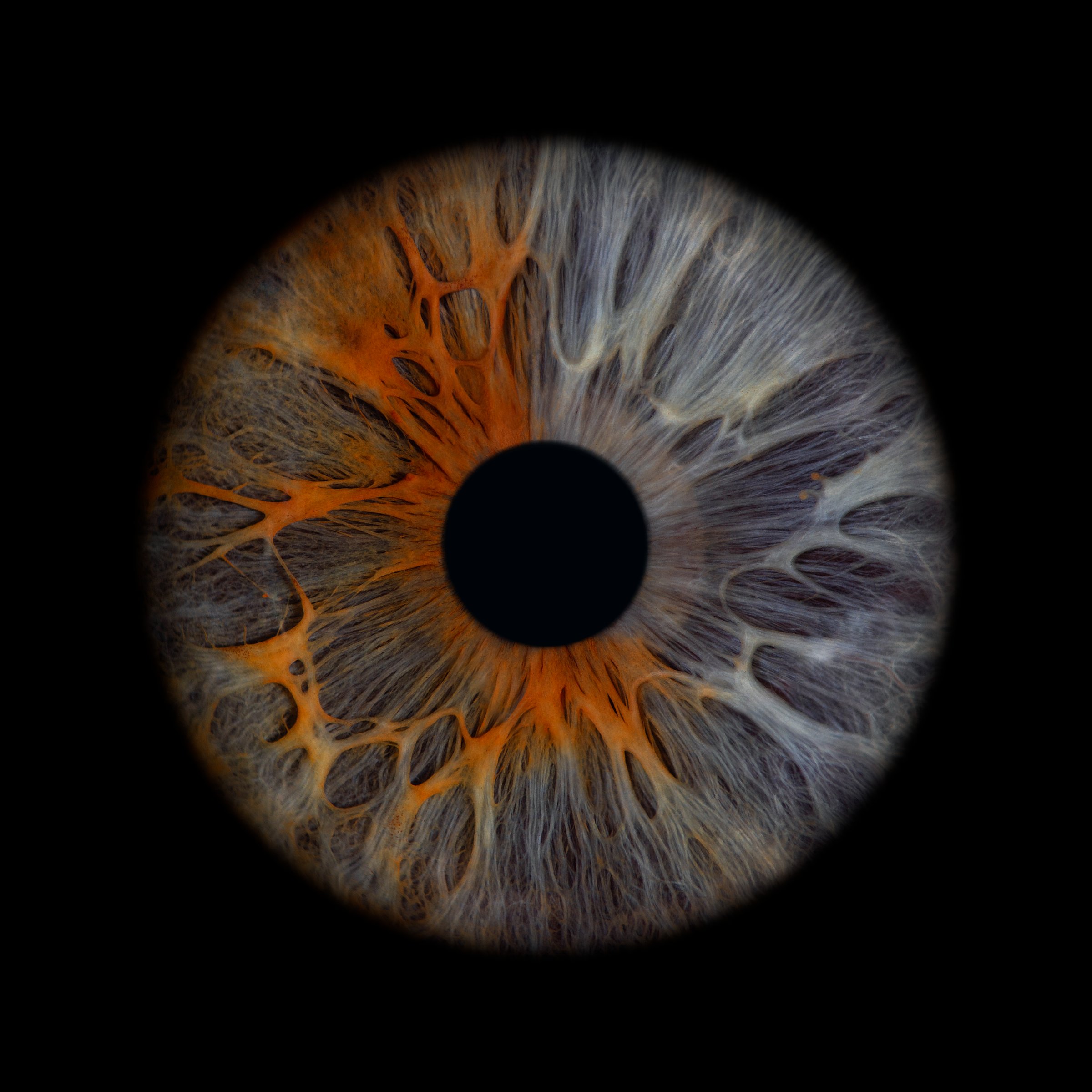 ViiEye