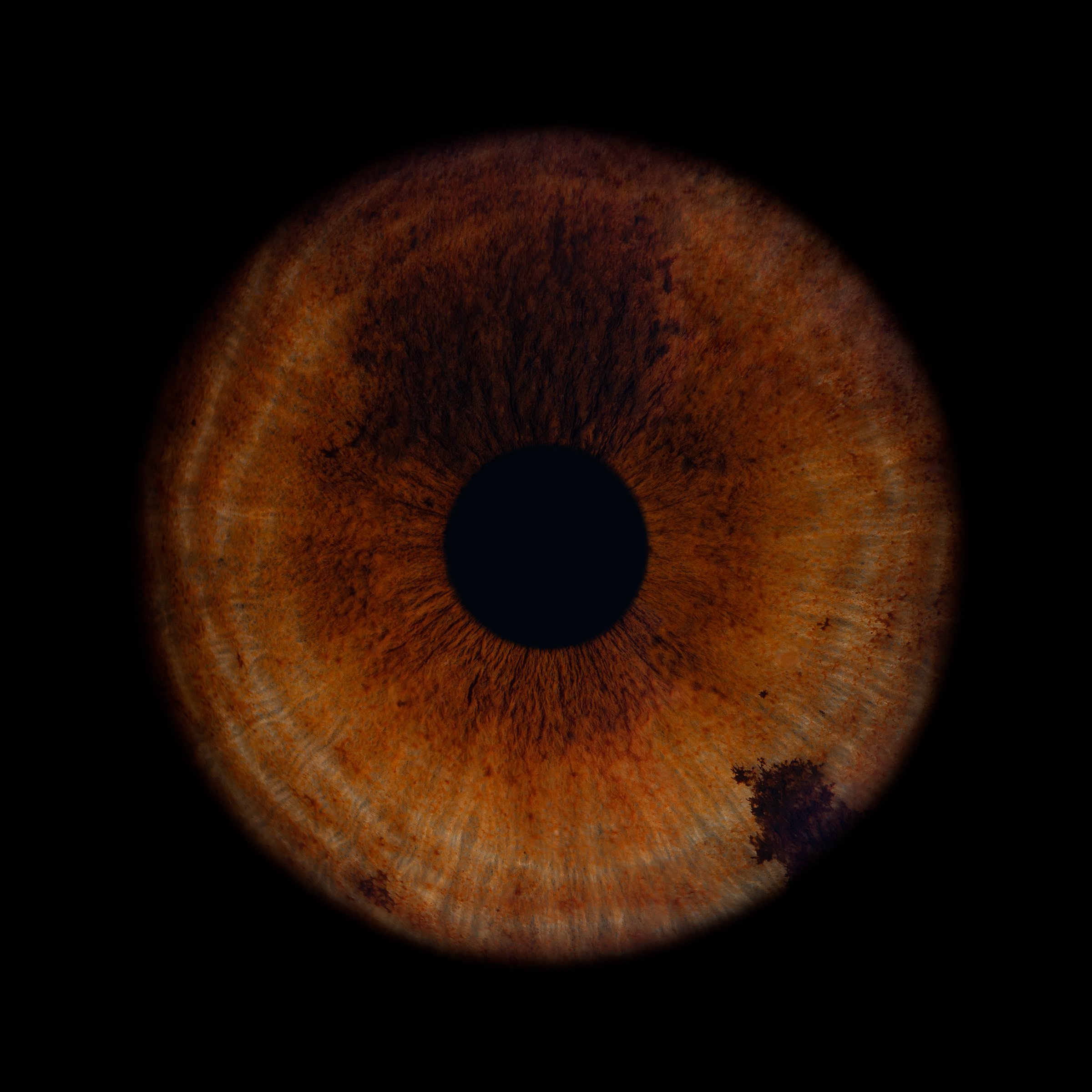 ViiEye