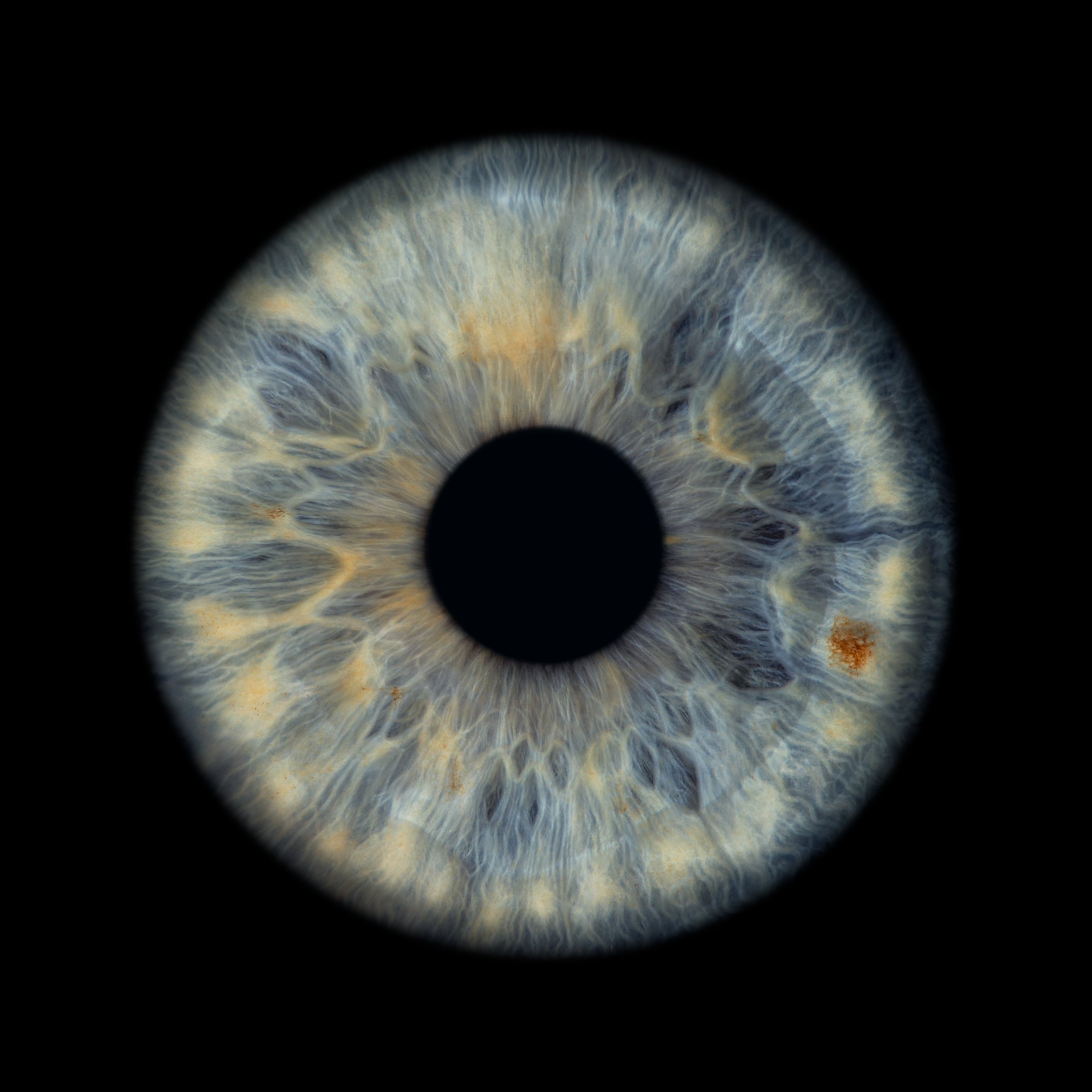 ViiEye